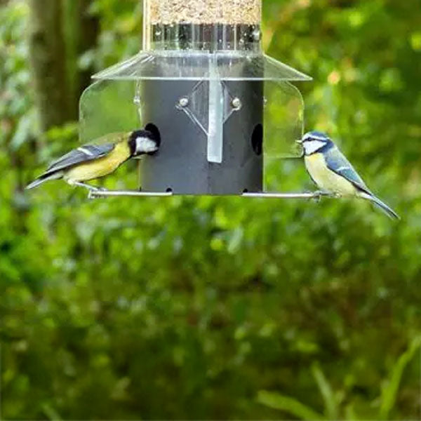 Leto bird feeder for small birds