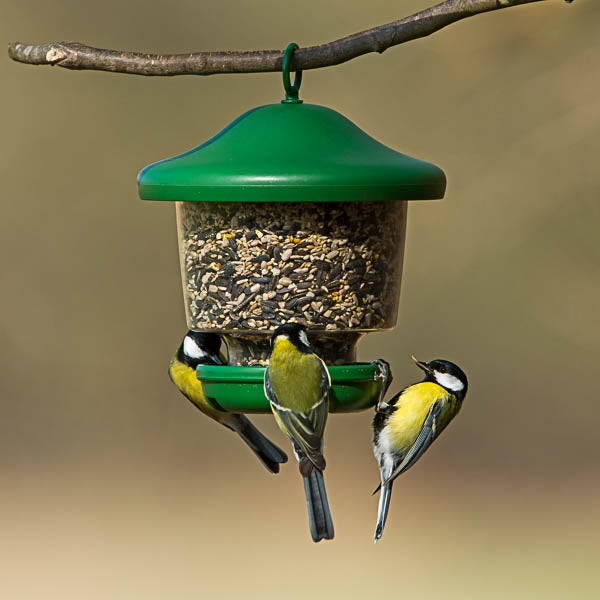 Clingers Only Bird Feeding Pack; My Favourite`s bird feeder; class=lazyload lazy-hidden img-responsive" data-src="https://img.youtube.com/vi/j1DZ8gK7KoE/0.jpg">