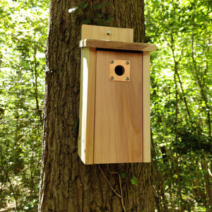 Nest box on tree with a hole protector 
