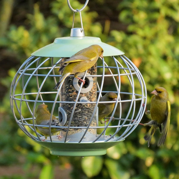 Nuttery Helix Seed Feeder; Nuttery Helix Seed Feeder; Nuttery Helix Seed Feeder