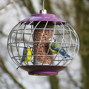 Nuttery Helix Peanut Feeder; Nuttery Helix Peanut Feeder