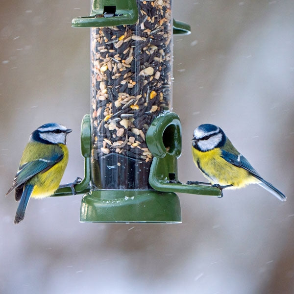 Ring Pull Click Seed Feeder - Range; Ring Pull Click Seed Feeder; Ring Pull Click Seed Feeder; Ring Pull Click Goldfinches