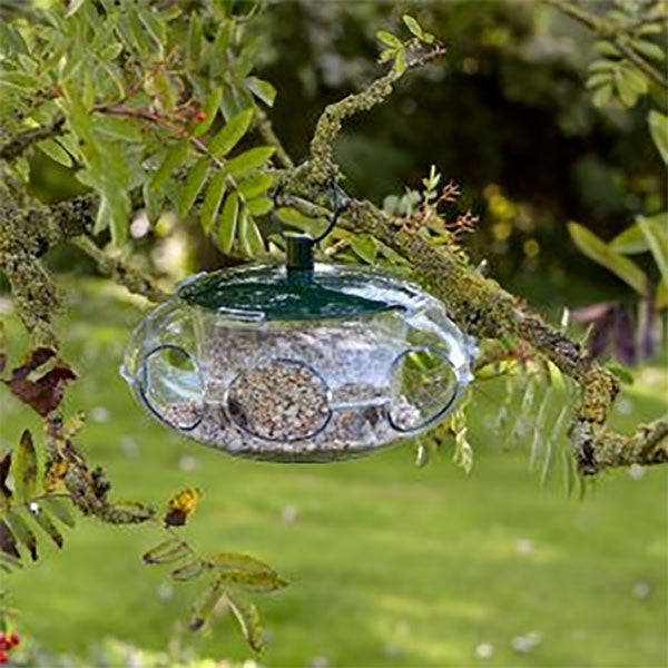 Small Bird Seed Feeder; Small Bird Seed Feeder