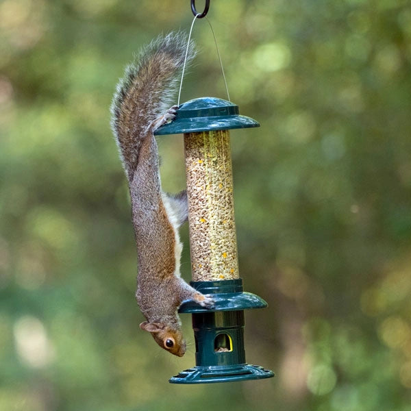 Squirrel buster feeders 100% guaranteed to stop squirrels