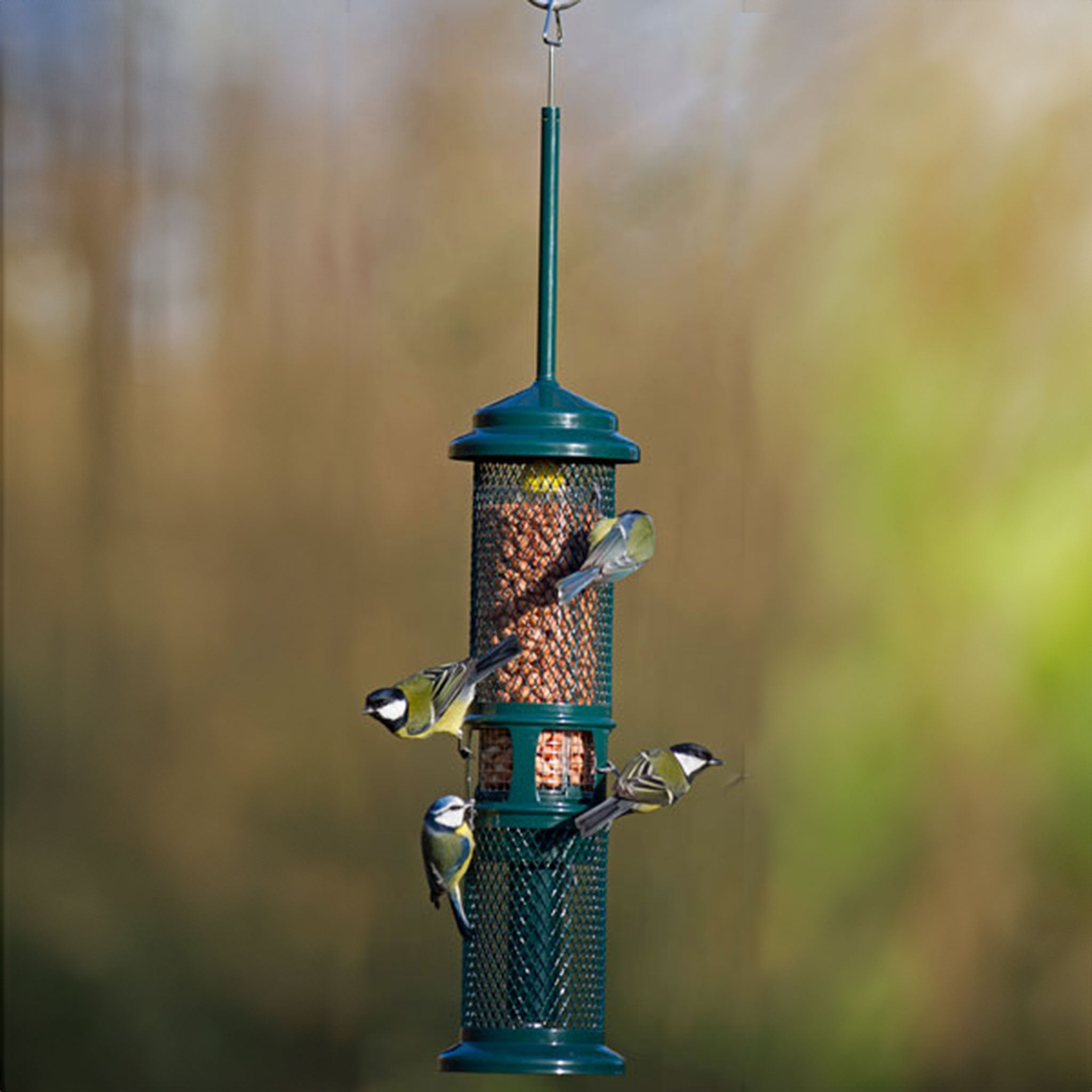 Blue Tits and Great Tits on peanut feeder