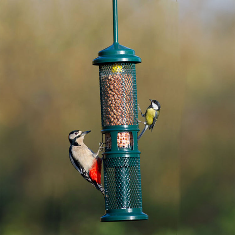 Woodpecker and Great Tit on peanut feeder