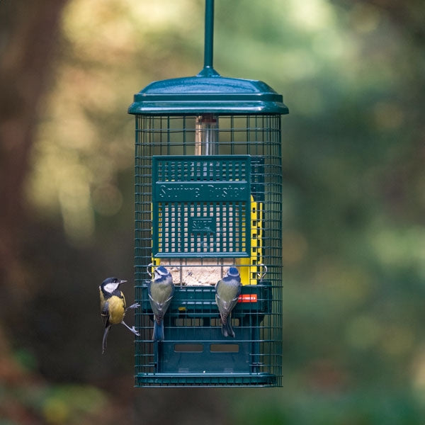 Squirrel Buster Suet Feeder;Squirrel Buster Suet Feeder;Squirrel Buster Suet Feeder;Squirrel Buster Suet Feeder